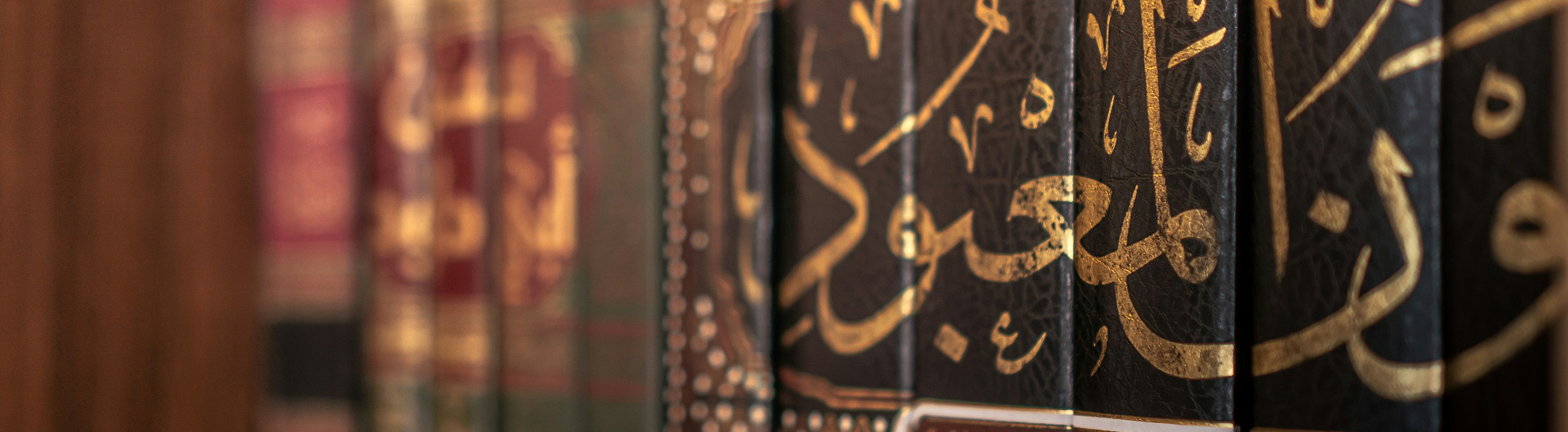 Master Executive in Islamic Finance and Economy